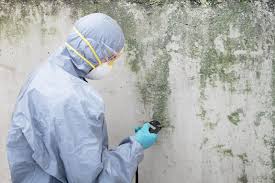 Best Residential Mold Inspection & Testing in Bystrom, CA